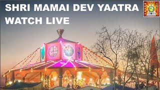 Shri Mamai Dev Yatra - LIVE (10-05-2020) by MGSRC \u0026 AMMSA