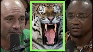 Joe Rogan | Would You Rather Die by Gorilla or Tiger? w/Yves Edwards