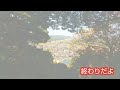 200 鳥取県鹿野城跡