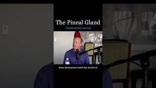 The Pineal Gland (Explained by Science) - Dr. Joe Dispenza