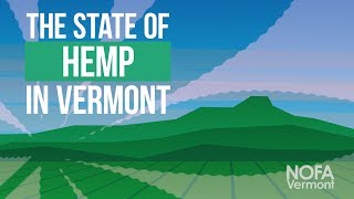 The State of Hemp in Vermont: A NOFA Vermont Update