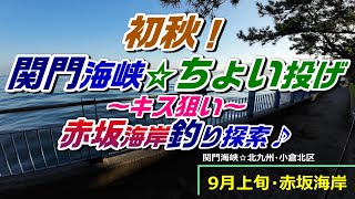 【キス釣り】初秋❗関門海峡★ちょい投げ✨️赤坂海岸🙋釣り探索🎵