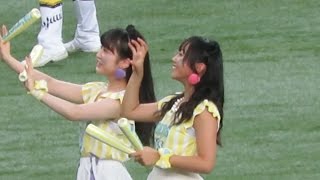 H28.08.17　メガホンダンス「ｶﾞｵｫｰ」　NMB48(TORACO DAY：川上千尋と薮下柊)　広島×阪神　京セラ