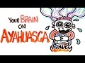 Your Brain On Ayahuasca: The Hallucinogenic Drug