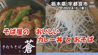 【そば】宇都宮市　手打ちそば・蒼（そう）カレー丼もそばも美味しい！　栃木県