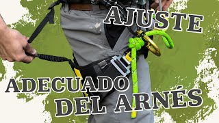 Cómo Ajustar Correctamente tu Arnés de Escalada en Árboles - TreeStuff