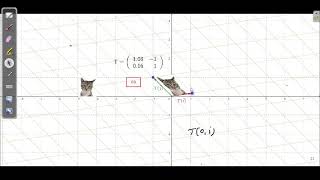 Geometric view of linear transformations
