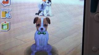 Nintendogs Tricks : Beg