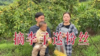 梅子摘李子送粉丝朋友，家人持不同意见，如何抉择大家给个建议