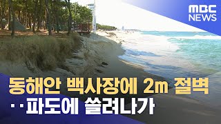 동해안 백사장에 2m 절벽‥파도에 쓸려나가 (2022.10.12/뉴스투데이/MBC)