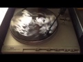 Lady Gaga - Born This Way Exclusive Disco Vinyl