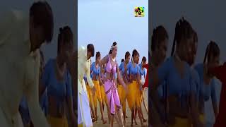 ஏய் தன்னானே தாமரைப்பூ மாமா தள்ளாடும் தண்ணியில#Love Melody Song#90sSong#Shorts#Shorts Videos#