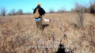 Kansas Quail Hunting