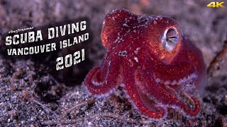VANCOUVER ISLAND 2021 | Scuba Diving (4k)
