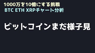 リップルだけホールドして様子見る｜ビットコイン、イーサリアム、リップルの値動きを解説