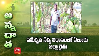 సమీకృత సేద్య విధానంలో ఏలూరు జిల్లా రైతు | Integrated farming in organic method by Eluru farmer | ETV