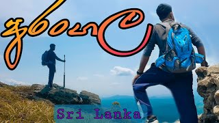 ARANGALA | අරංගල | SRI LANKA | මේක නගින්නම ඕන කන්දක්ද?