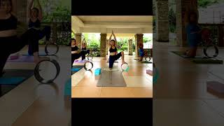 Part 2 | Yoga Hip Opening with Wheel | AnigPie Cams