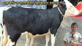 ADL বীজের হাই কোয়ালিটি হলেস্টেইন ফ্রিজিয়ান ও ফ্লেকভি বকনার দাম