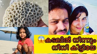 🐚🧜‍♀️കുറച്ച് ചെടികൾ വാങ്ങി എന്നിട്ട് ബീച്ചിൽ പോയതാ?🧜‍♀️🧜‍♀️എവിടുന്നാ ഇത് കിട്ടിയേ🐚@InnusRecipe