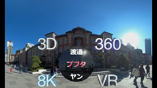 Sightseeing some spots in Tokyo 360° 3D 8K