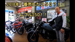 REBEL250！大ヒットの理由とは？｜タキガワホンダチャンネル