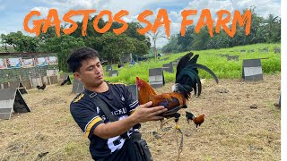 Magkano ang expenses sa Farm ng Manok?