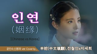 [감성비교] 인연 姻缘 Chinese vs Korea 중국 일반인이 한국 노래의 감정을 소름 돋게 부른다면...Cover by 羊驼 전철민x지세희