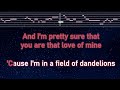 Practice Karaoke♬ Dandelions - Ruth B. 【With Guide Melody】 Instrumental