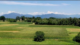 Il Parco Pineta visto dal drone