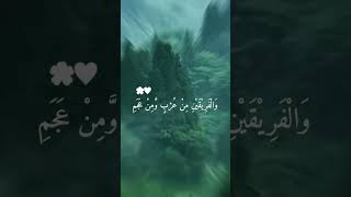 Beautiful Naat MashAllah/ماشاءاللہ خوبصورت عربی آواز میں نعت شریف
