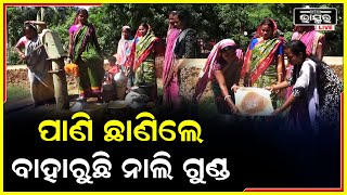 ମୁକୁଳା କୂଅର ପାଣି ପିଉଛନ୍ତି ୮୦ ରୁ ଉର୍ଦ୍ଧ୍ୱ ପରିବାର..ପ୍ରତିଶୃତି ପାଲଟିଛି ପାଣିର ଗାର ।