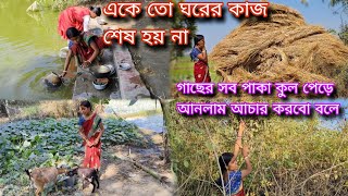 কুমড়ো সাগ সবাইকে বললাম নিয়ে যেতে কেউ তো নিয়ে গেলো না তাই আমি কুমড়ো গাছের বাগানে ছাগল বেঁধে দিলাম