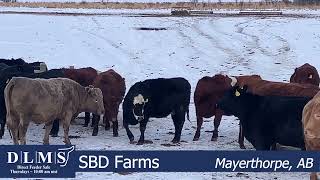 DLMS Direct - SBD Farms