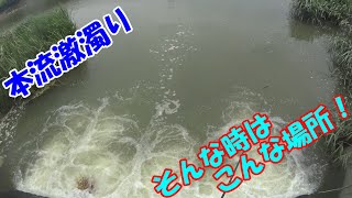 本流の濁りを避けるバスを狙って！～福岡県遠賀川・犬鳴川バス釣り