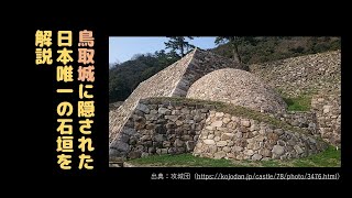 日本に唯一謎の球体石垣「巻石垣」を解説　#おもわず声がでちゃう城の遺構