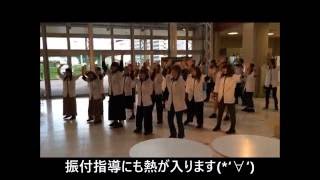 ２－Ｂが踊る♪ハッピームービー　後編　新潟 美容学校　ＢＭ