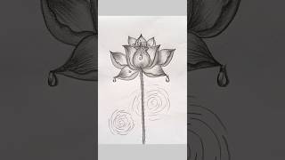 How to Draw Lotus Flower || Pencil Sketch for Beginners #Art #Shorts #PencilDrawing