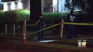 Dallas sees drop in violent crime except for murders