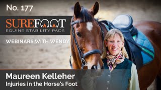 No. 177. Maureen Kelleher DVM - DDFT Injuries in the Horse's Foot