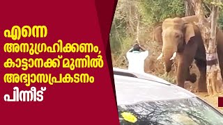 Wild Elephant | എന്നെ അനുഗ്രഹിക്കണം, കാട്ടാനക്ക് മുന്നിൽ അഭ്യാസപ്രകടനം. പിന്നീട്