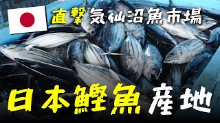 大家吃的日本柴魚片從哪裡來？?  前往日本氣仙沼魚市場，看到超大量正鰹生產！井然有序的漁港動線，連我都感到震撼....【猩弟出差中】（上集）