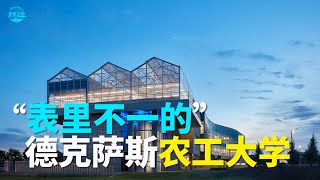 【华美之声】表裡不一的德克薩斯農工大學