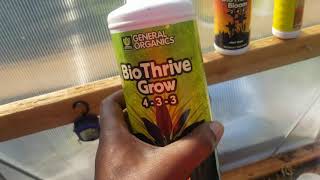 general organics  BioThrive review