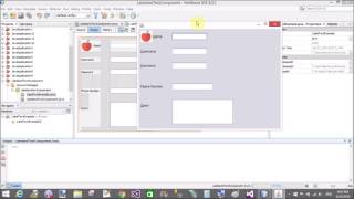 Label and Text Components in JAVA Swing With Example