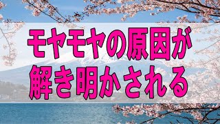 テレフォン人生相談 🌞モヤモヤの原因が解き明かされる マドモアゼル愛