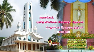 புனித மிக்கேல் அதிதூதர் ஆலயம், மைலகோடு | பொதுக்காலம் 12ம் ஞாயிறு திருப்பலி 20.6.21