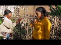 የቆጮ አፋፋቅ ከመጀመሪያ እስከ መጨረሻ how to make kocho from beginning to end