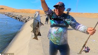 O'Neill Forebay Striper Fishing Report 🔥🎣🎣 October  2024