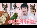 귀여움의 바다에 빠지게 될거에요